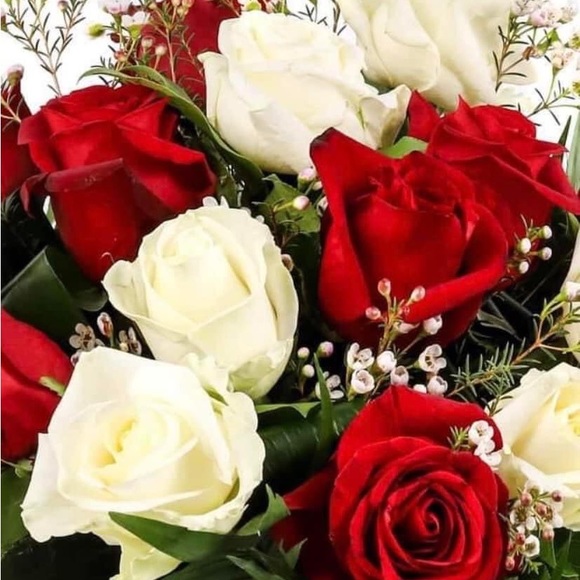 Meet your Posher, Gloria - Picture 4 of 15